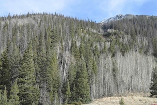 TBD Cr 2 Lupus, Silverton, CO 81433