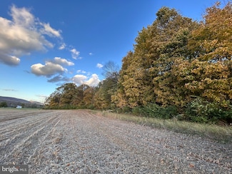 Lot #3 Linden Hall Rd, Boalsburg, PA 16827