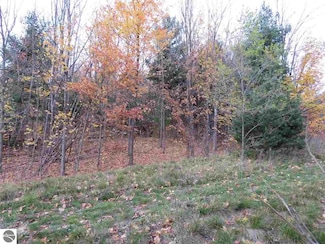 Lot 71 Rawlings Place Unit 71, Kingsley, MI 49649