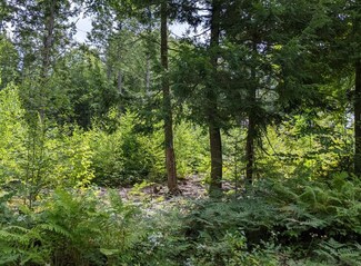 Lot 08-001 Milton Mills Rd, Acton, ME 04001