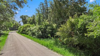 26148 Foamflower Blvd, Wesley Chapel, FL 33544