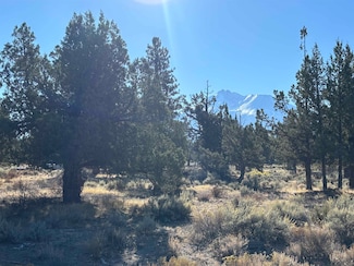 Unit 8-2 Lot 145- Sherwood Rd Unit 8-2, Weed, CA 96094