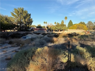 0 E Oquendo Rd, Las Vegas, NV 89120