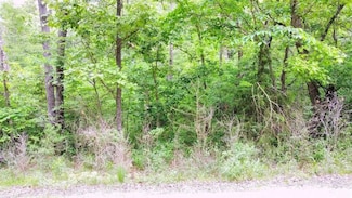 Highlander Place Unit J 2, Lakeview Heights, MO 65338