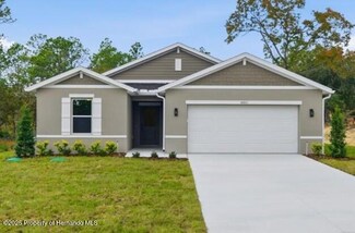 16011 Scaup Duck Ave, Brooksville, FL 34614
