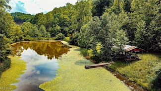 731 Fall Run Rd, Walker, WV 26180
