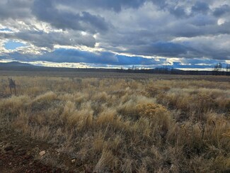 0 Valley Oak Way Unit 220173813, Bly, OR 97622