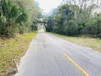 2191 Brownlee Rd, Seville, FL 32190