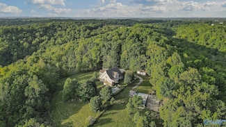 28726 Ragsdale Creek Rd, Elkmont, AL 35620