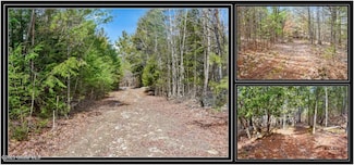 L11 Mountain Meadow Rd, Horicon, NY 12808