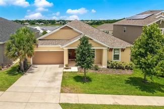 1593 Osprey View Dr, Apopka, FL 32703