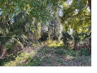 1146 Della Tobias Ave, Clewiston, FL 33440