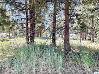 00 Cedar St, Susanville, CA 96130