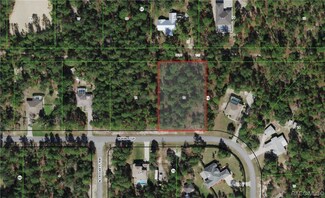 4091 W Pinto Loop, Beverly Hills, FL 34465