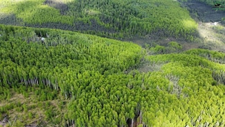 1700 Tungsten Trail, Fairbanks, AK 99712