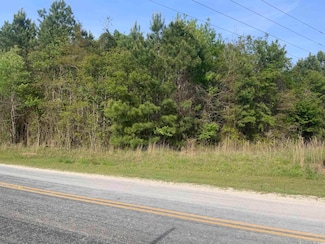 TBD McNeil Chapel Rd, Loris, SC 29569