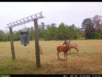 5001 NW Little Cat Rd, Madison, FL 32340