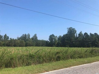 Rt. 1 Tupperware Rd, Hemingway, SC 29554
