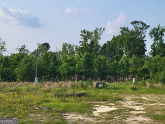 288 Old Wadley Rd, Midville, GA 30441