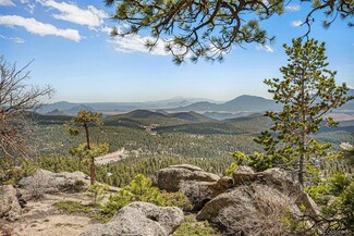 29992 Nancys Ln, Conifer, CO 80433
