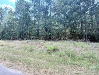 4.7 Acres Blade Run Rd, Edgemoor, SC 29712