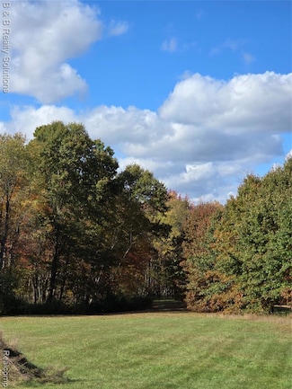 Unit 12 Sheryl Ct, Mayfield Township, MI 48446