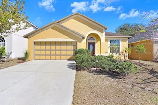 919 Grand Canyon Dr, Valrico, FL 33594