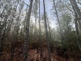 0 Strickland Rd, Waynesboro, MS 39367