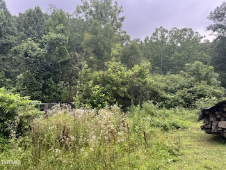 Tbd Abner Branch Rd, Bee, VA 24217
