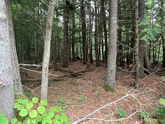 110/009 Mast Hill Rd, Saco, ME 04072