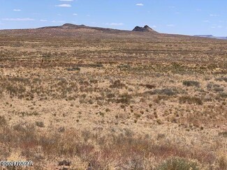 Arizona Rancheros #123 Lot 29, Holbrook, AZ 86025