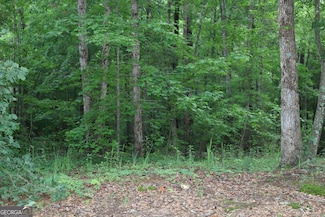 0 Kingston Rd Unit 10531125, Colbert, GA 30628