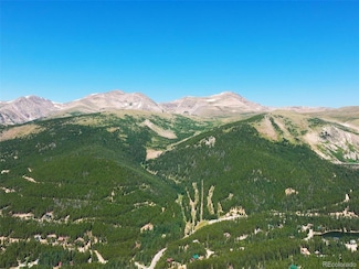 8821 Fall River Rd Unit Multiple lots, Idaho Springs, CO 80452