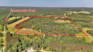 52 Acres Tannerville Rd, Kaleva, MI 49645