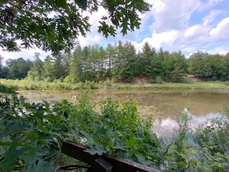 VL Lockwood Dr, Gladwin, MI 48624