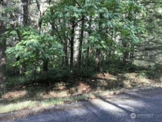 10602 Madrona Dr, Anderson Island, WA 98303