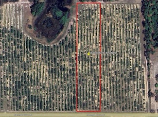 0 Mammoth Grove Rd Unit MFRP4935058, Lake Wales, FL 33898