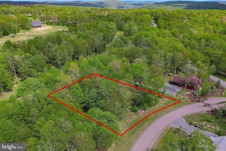 Lot 72 Chimney Rock Ln, Sang Run, MD 21541