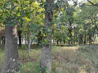 000 State Highway F, Stotts City, MO 65756