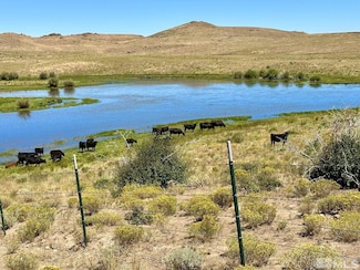 0 Wildhorse Ranch Unit 250004061, Mountain City, NV 89831