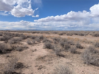 0 40 Acres Tbd Unit REC2047838, Mosca, CO 81146
