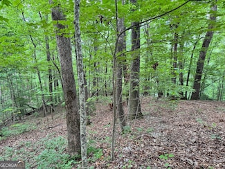 0 Black Bear Den Rd Unit 10554159, Clayton, GA 30525