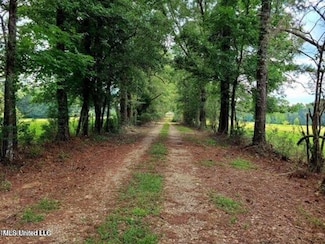 809 Osborn Moody Rd, Poplarville, MS 39470