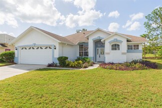 5303 Waterleaf Ct, Valrico, FL 33596