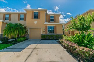13813 River Fish Ct, Tampa, FL 33637