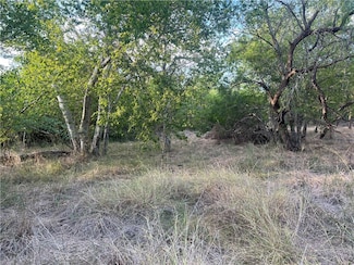 TBD Flores St, Mathis, TX 78368
