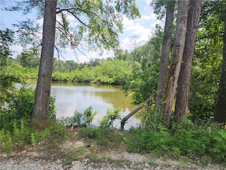 Lot 2 Hollybrook Dr, Plantersville, TX 77363