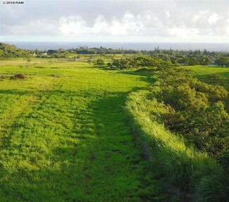 1041 Auwaha Place Unit Lot 14, Haiku, HI 96708