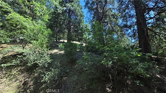 22494 Mojave River Rd, Crestline, CA 92325