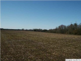 0 County Road 36, Altoona, AL 35952